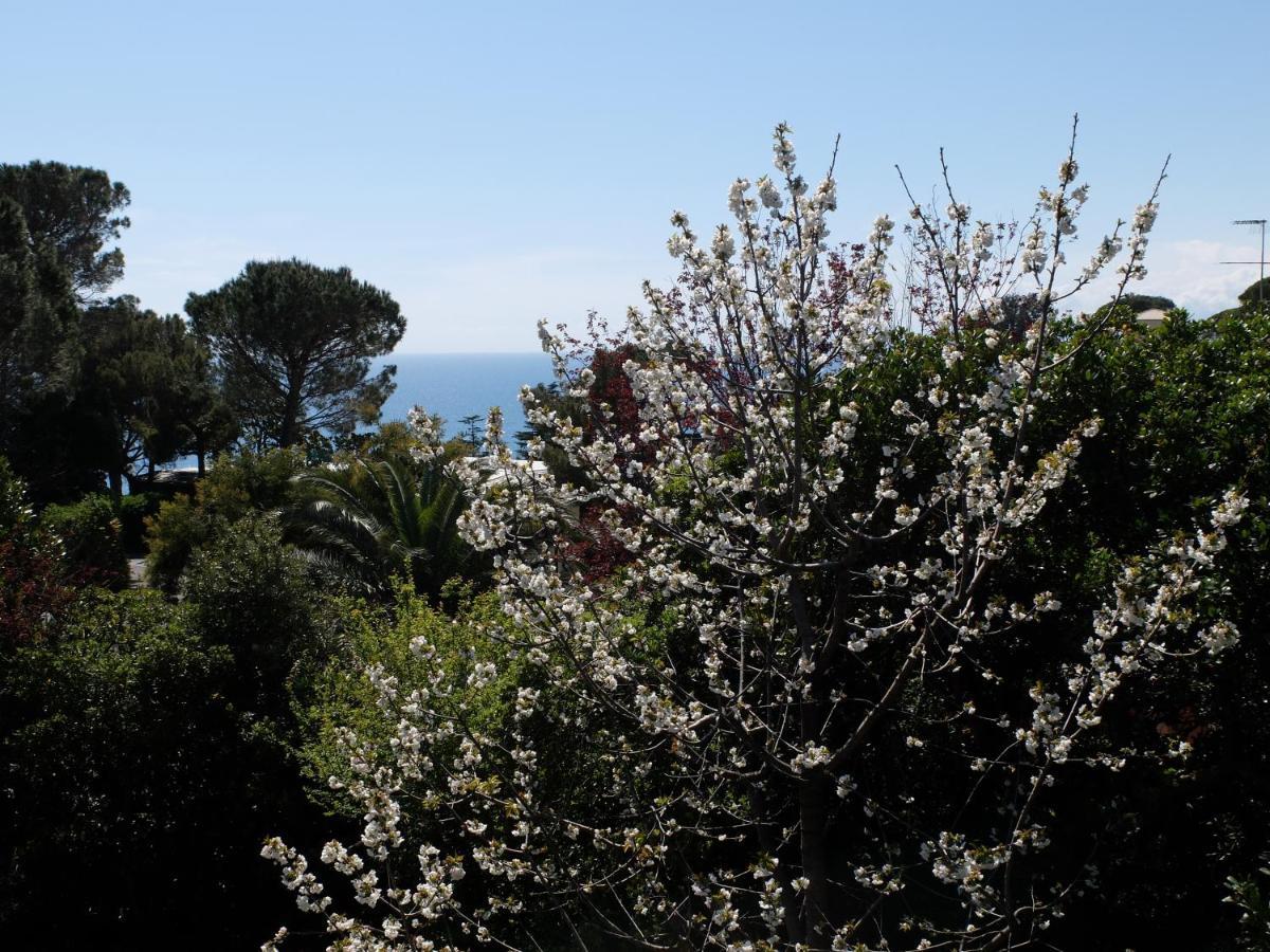 B&B Verde Sul Mare Arenzano Kültér fotó